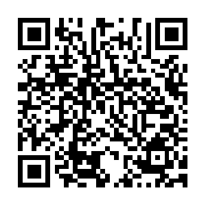 Tannerdiversifiedservicescenter.com QR code