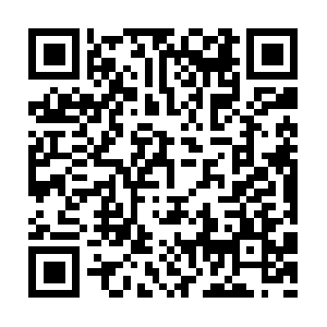 Taxpreparationservicelasvegasnv.com QR code