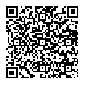 Tbsrecovery.imtt.qq.com.getcacheddhcpresultsforcurrentconfig QR code
