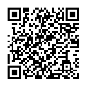 Te1-1.cr2.sjc1.us.packetexchange.net QR code