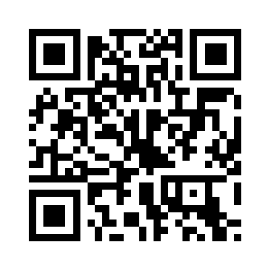 Techsoltest.com QR code