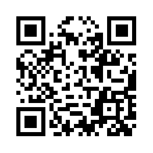 Techteam53.info QR code