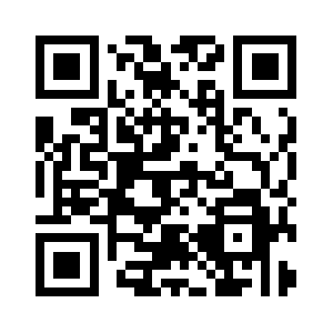Techwiseconsulting.com QR code
