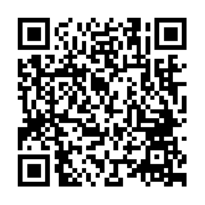 Telemetry-na.docusign.net.akadns.net QR code