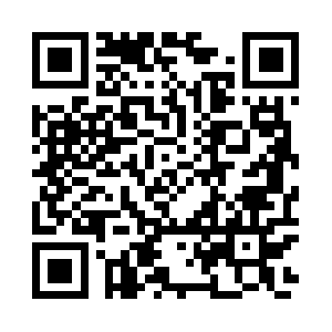 Telemetry.dailymotion.com QR code