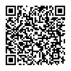 Telephonyspamprotect-pa.googleapis.com.bbrouter QR code