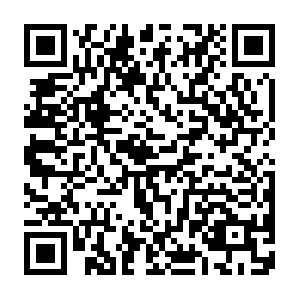 Telephonyspamprotect-pa.googleapis.com.totolink QR code