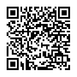 Telmamoreiranutritionandcoaching.com QR code