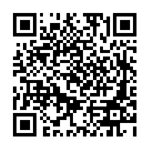 Tennesseeenvironmentallawletter.com QR code