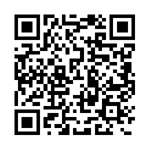 Terminilaggagedeposit.com QR code