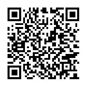 Termitefumigationnewportricheyfl.com QR code