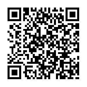 Termiteinspectiontreatmentforsythil.com QR code