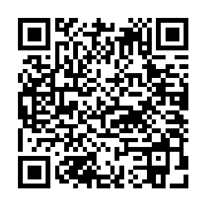 Termitepretreatmentfornewconstruction.com QR code