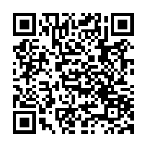 Terrestrialmammalsofsoutherncalifonria.com QR code