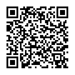 Testing-grounds-sneakers.myshopify.com QR code