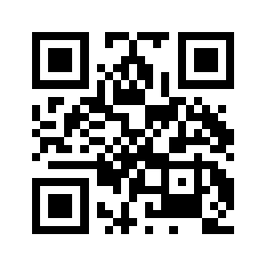 Testslayer.com QR code