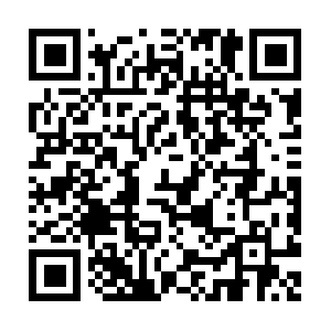 Texaspremierprofessionalorganizer.com QR code