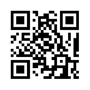 Tfsvalve.com QR code