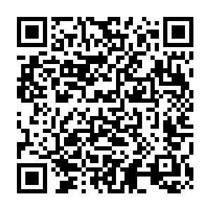 The-adventures-of-the-teen-archaeologists.net QR code