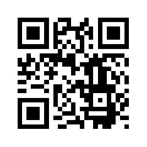 The-ins.org QR code