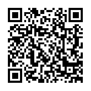 Theamericandreamcollectionofcompanies.biz QR code