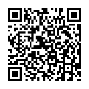 Theamericasgroupimmigrationservices.net QR code