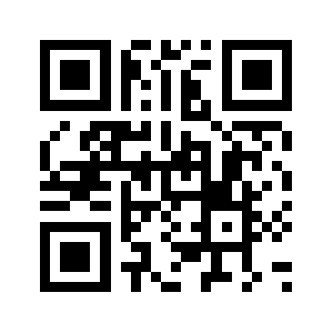 Theaustin.com QR code