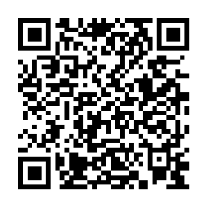 Thebeautifullygrotesquedollhaus.com QR code