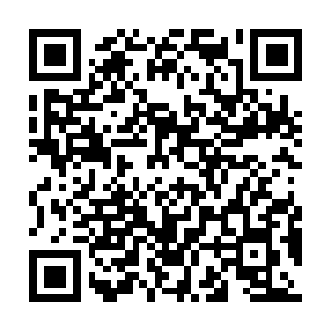 Thebesthostelintamarindocostarica.com QR code