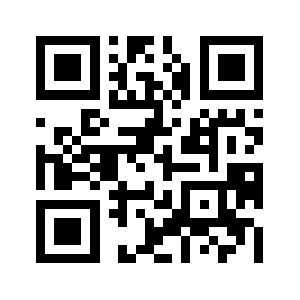 Thebigview.com QR code