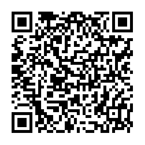 Thecannabinolsavingandloancorporationofamerica.com QR code