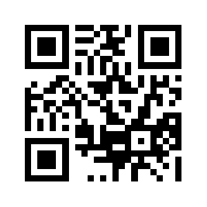 Theceo.in QR code