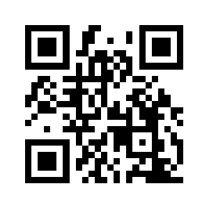 Thechin.biz QR code