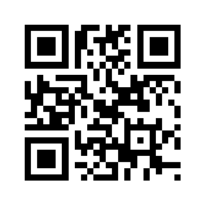 Thecitycar.com QR code