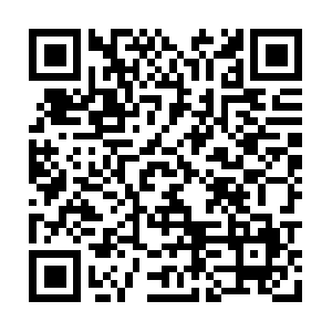 Thecommercialfenceprofessionals.org QR code