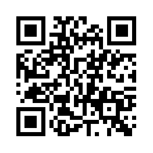 Thedataguys.com QR code