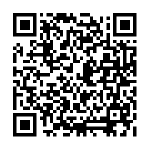 Thedaythelaughterstopped-themovie.info QR code