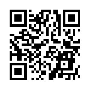 Thedetailwizards.com QR code