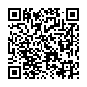 Theemploymentlawgroupofkansascity.com QR code