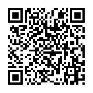 Thefirst-plutolive-vo.akamaized.net QR code