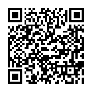 Thefreshapproachconsultingservice.com QR code