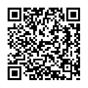 Thegrowthprojectforprofessionals.com QR code