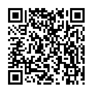 Thehealthcoachingcertificationboard.org QR code
