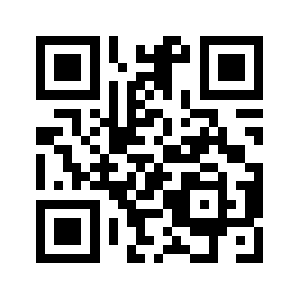 Theitguy.asia QR code