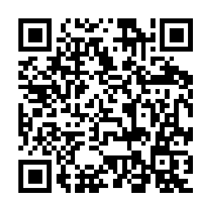 Theleearnoldsystemofrealestateinvesting.net QR code