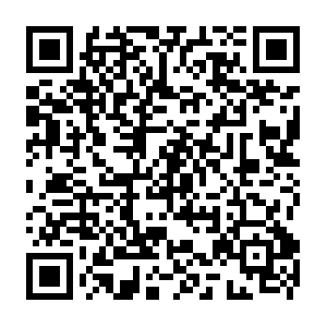 Thelifeofalonleystudentamillennialsviewpoint.com QR code