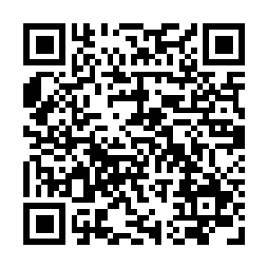 Thelittlechristeningcompanycyprus.com QR code