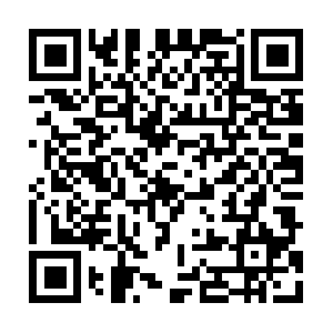 Thelopezpaintingandhousecleaning.com QR code