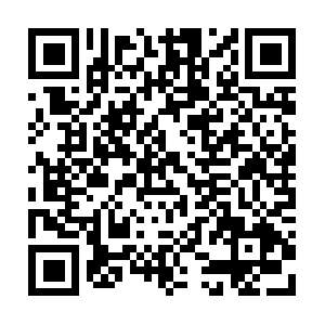 Thelordsmissionarychristianministry.com QR code