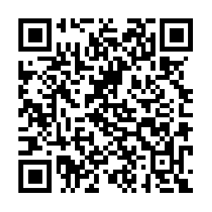 Themarijuanadispensaryapplication.com QR code